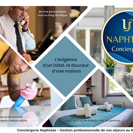 مكان تخييم Les Pins Dores- F125s - Clim- Animaux- 4 *