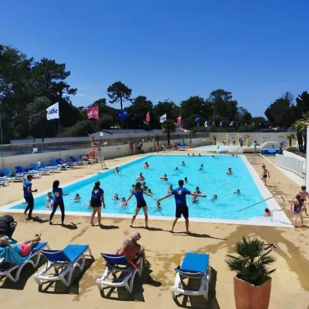 Les Pins Dores- F125s - Clim- Animaux- 4 Camping *