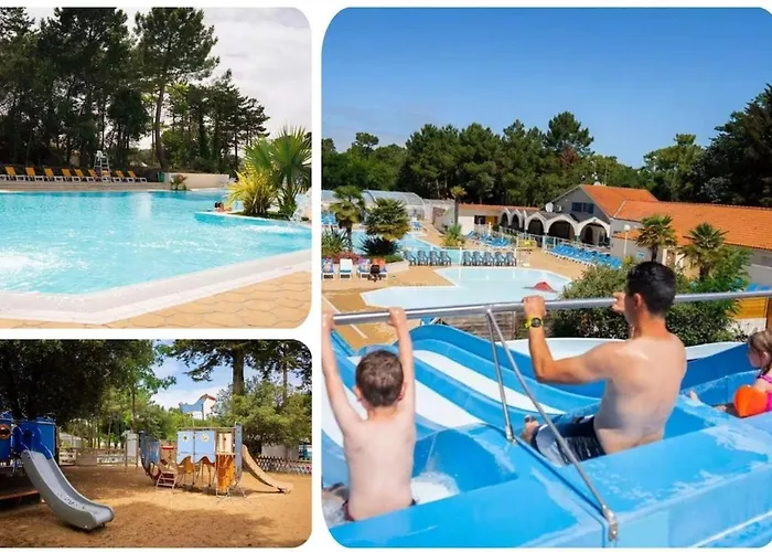 Les Pins Dores- F125s - Clim- Animaux- 4 Camping